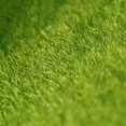thumbnail image 4 of 6pcs DIY Creative Micro Landscape Decoration Simulation Lawn Moss for Garden Ground Pot 15x15cm(Green), 4 of 8