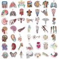 thumbnail image 4 of SHILIU-50 Packs Anatomical Map of Organs Stickers Water Bottles Laptop Phone Motorcycle Computer Guitar Skateboard Hydroflasks Organs Vinyl Sticker Waterproof Aesthetic Trendy Decals for Teens Girls, 4 of 4