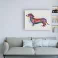 thumbnail image 3 of Trademark Fine Art 'Dachshund Rainbow Splash 1' Canvas Art by Fab Funky, 3 of 3