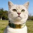 thumbnail image 4 of Reflective Nylon Pet Collar With Quick Release Buckle For Secure Comfortable Walking Training, 4 of 4