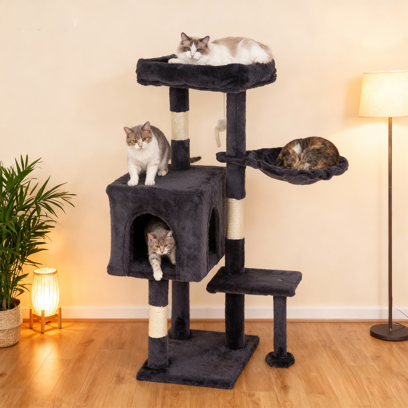 CL.HPAHKL Cat Tree, 36 inch Small Cat Tower with Scratching Post & Funny Toy for Indoor Cats, Cat Condo Furniture Activity Center for Kittens, Dark Gray