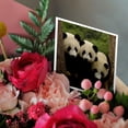 thumbnail image 3 of 3dRose, Giant panda bears, Wolong China Conservation, CHINA-AS07 POX0378 - Pete Oxford, 6 Greeting Cards with envelopes, 3 of 7