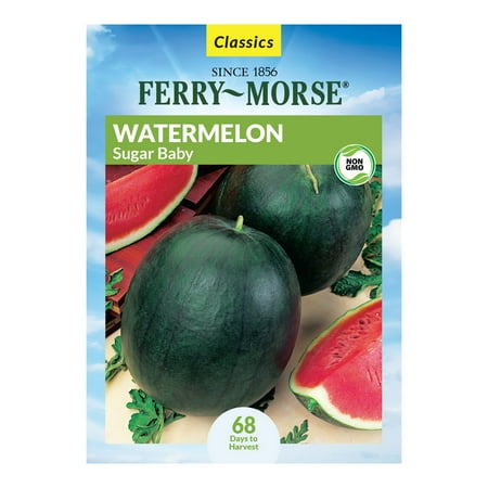 Ferry-Morse 830MG Watermelon Sugar Baby Annual Fruit Seeds, Full Sun