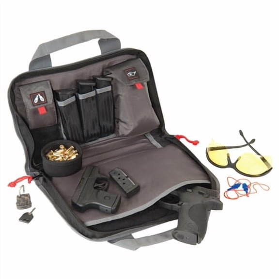 Double Pistol Case