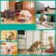 thumbnail image 5 of Juguetes de enriquecimiento para perros, juguetes de rompecabezas para cachorros, juguetes interactivos para perros pequeños, juguetes para perros chirriantes, juguetes para masticar cachorros para, 5 of 7