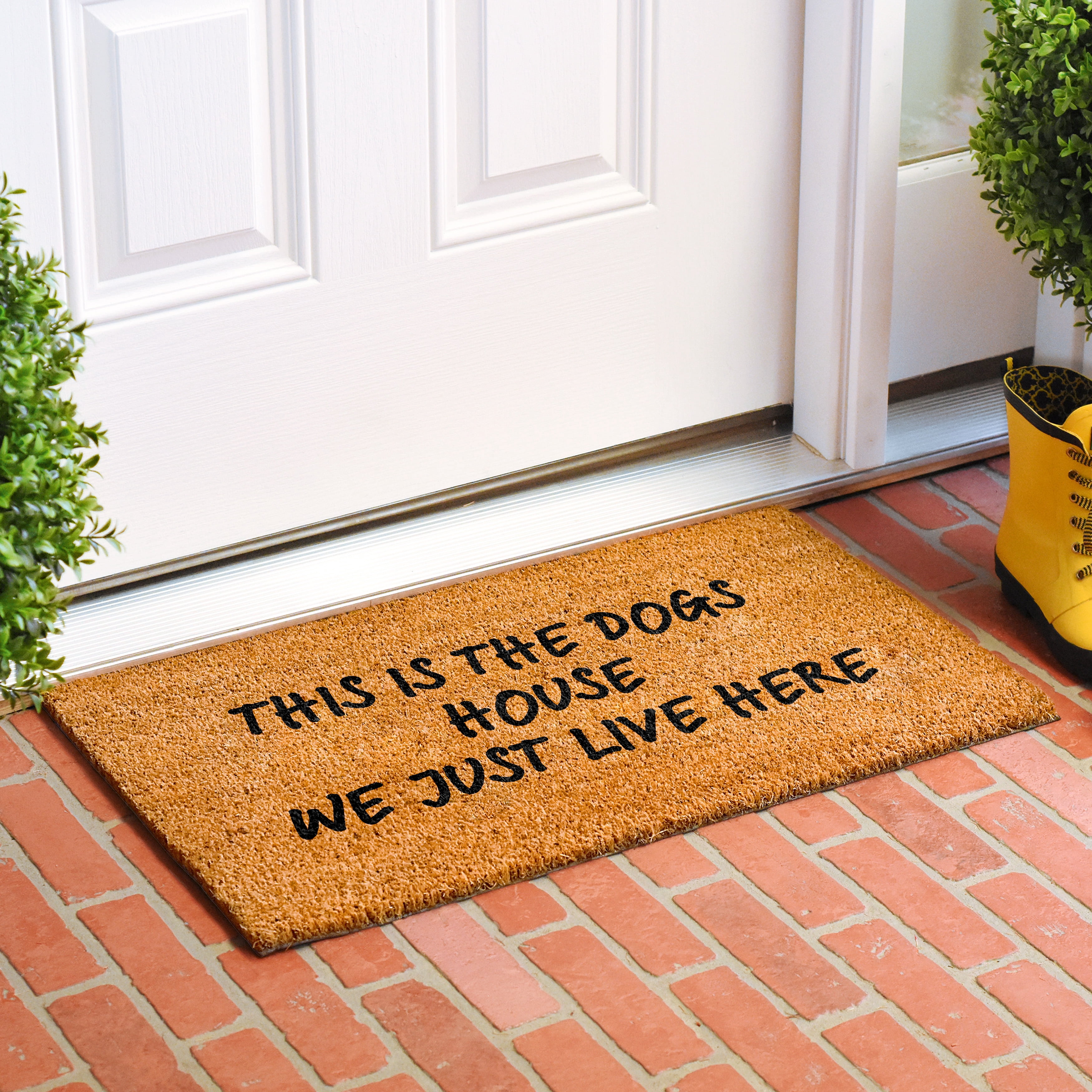 This is the dogs house we just live here Doormat 17" x 29"