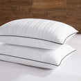 thumbnail image 1 of Almohadas Downluxe de Pluma y Plumón de Ganso 2-Pack Queen 51x71 cm, 1 of 9