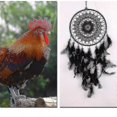 thumbnail image 4 of 1pc Natural Feather Lace Dreamcatcher Home Crafts Ornaments Black|wind Chimes Hanging Decorations, 4 of 5