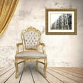 thumbnail image 3 of Frances, Stephanie 18x15 Gold Ornate Wood Framed with Double Matting Museum Art Print Titled - Houses Soho Newyork, 3 of 4