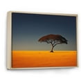 thumbnail image 2 of Designart "Minimalist Photo Of African Landscape" Africa Floater Framed Wall Decor, 2 of 5