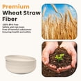 thumbnail image 5 of Homienly Wheat Fiber Dinner Plates, 8-Pack 9 inch, Unbreakable, Microwave & Dishwasher Safe, Plate Set and Plastic Dinner Plates for Kitchen, Camping, Picnic and RV, Salad Plates, Beige, 5 of 9