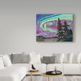 thumbnail image 3 of Trademark Fine Art 'The Northern Lights Background' Canvas Art by Amy Frank, 3 of 3