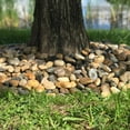 thumbnail image 3 of Rain Forest Medium Mixed Grade A Polished Pebbles, 3 of 3