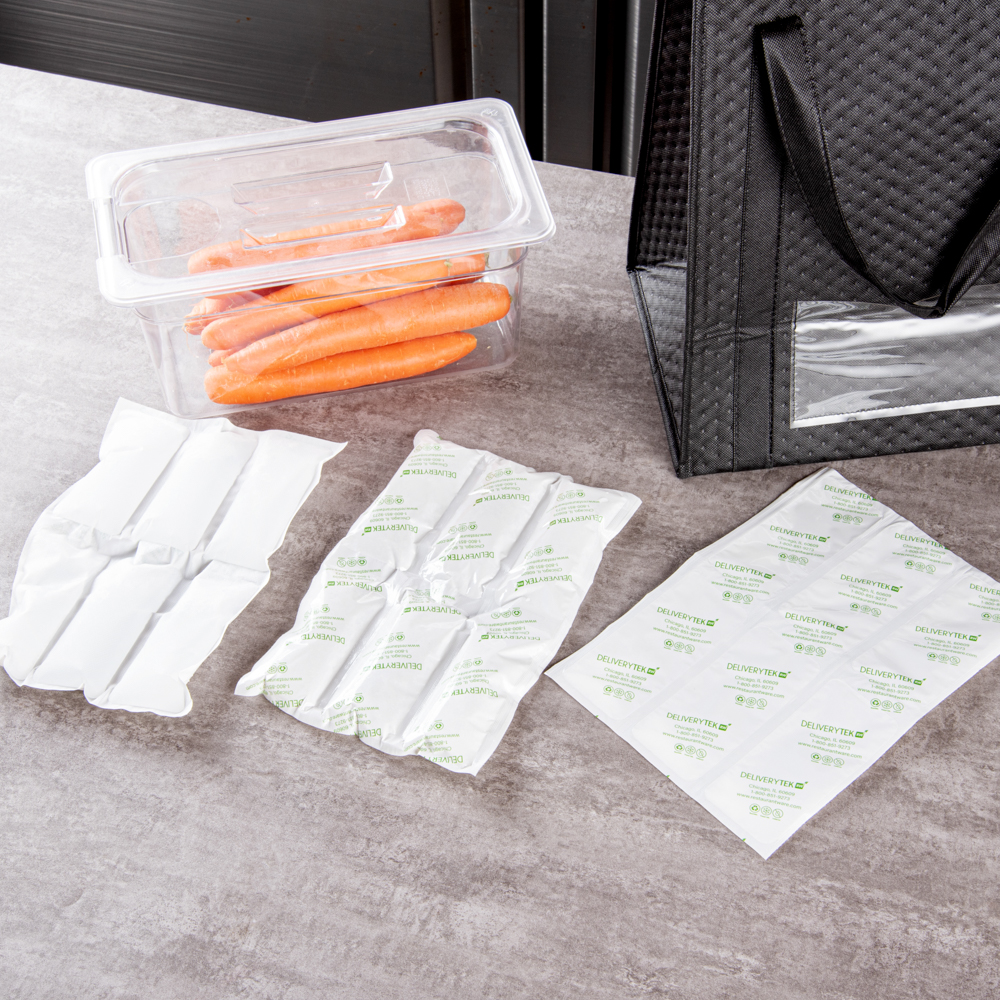 Delivery Tek Plastic Shipping Ice Pack - 3 x 2 Cells - 11 1/2" x 7 3/4" - 100 count box