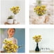 thumbnail image 4 of Ramo de flores amarillas falsas de flores Craspedia secas naturales 2 piezas brillar Electrónica, 4 of 5