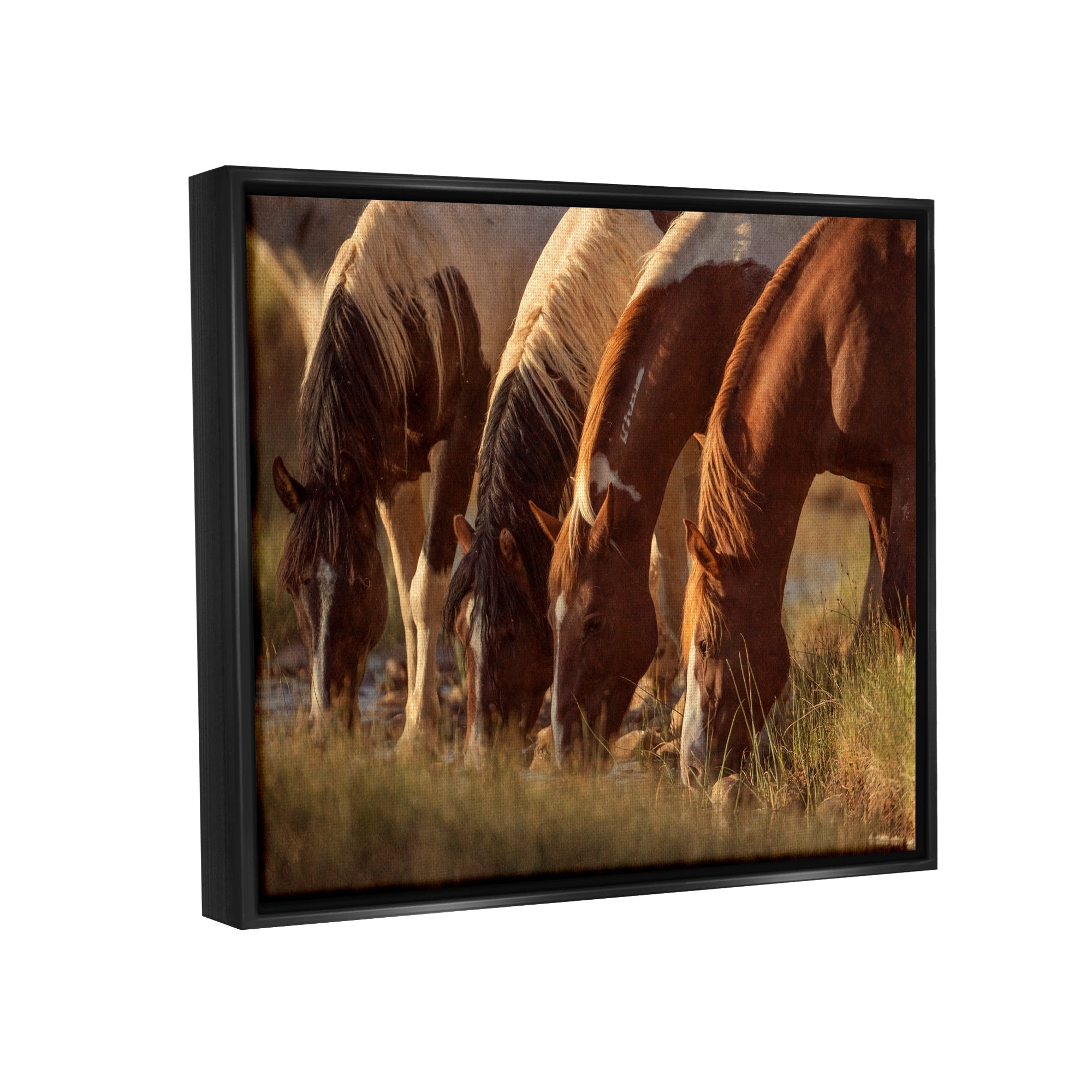 Stupell Industries Sunlit Horses Drinking Water Wildlife Nature Scene Photograph Jet Black Floating Framed Canvas Print Wall Art, Design by Jan Walters