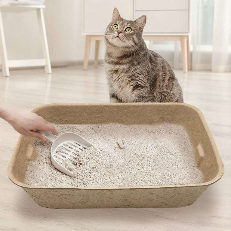 Petlivat Disposable Cat Litter Box Large Size 16.1 x 12.2 x 3.7