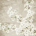 thumbnail image 2 of Allen, Kimberly 20x20 White Modern Wood Framed Museum Art Print Titled - Blossoms, 2 of 4