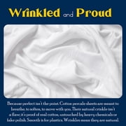 Color Sense 100% Cotton Percale Single Fitted Bedsheet Cool & Crisp Queen White
