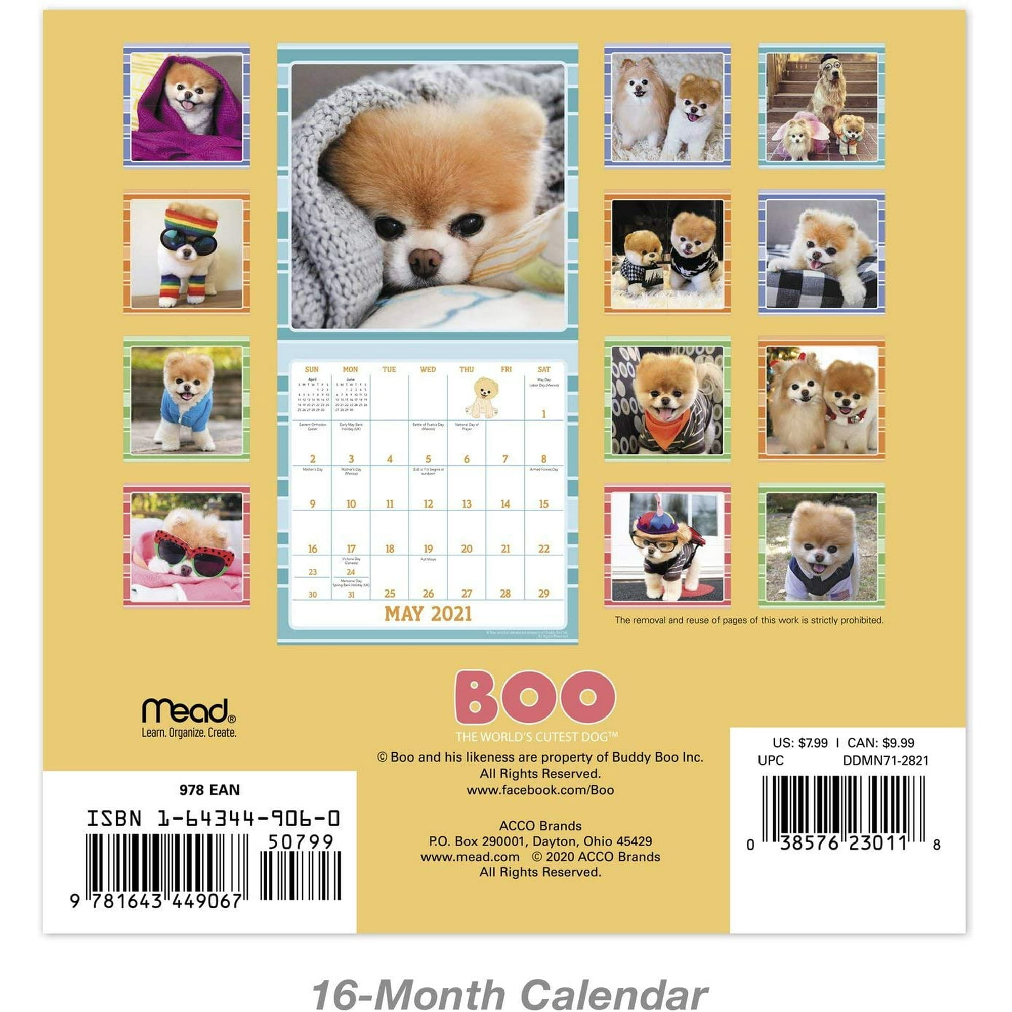 2021 Boo The World S Cutest Dog Mini Wall Calendar 7 X 7 Monthly Ddmn7128 Walmart Canada boo the dog calendar 2021