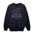 thumbnail image 1 of Harry Potter Boys Quidditch At Hogwarts Sweatshirt, 1 of 8