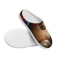 thumbnail image 3 of Daiia Animal Cat Print Women’s Fuzzy Slippers Memory Foam Lightweight House Shoes Cozy Loafer Flannel House Shoes-44/45, 3 of 7