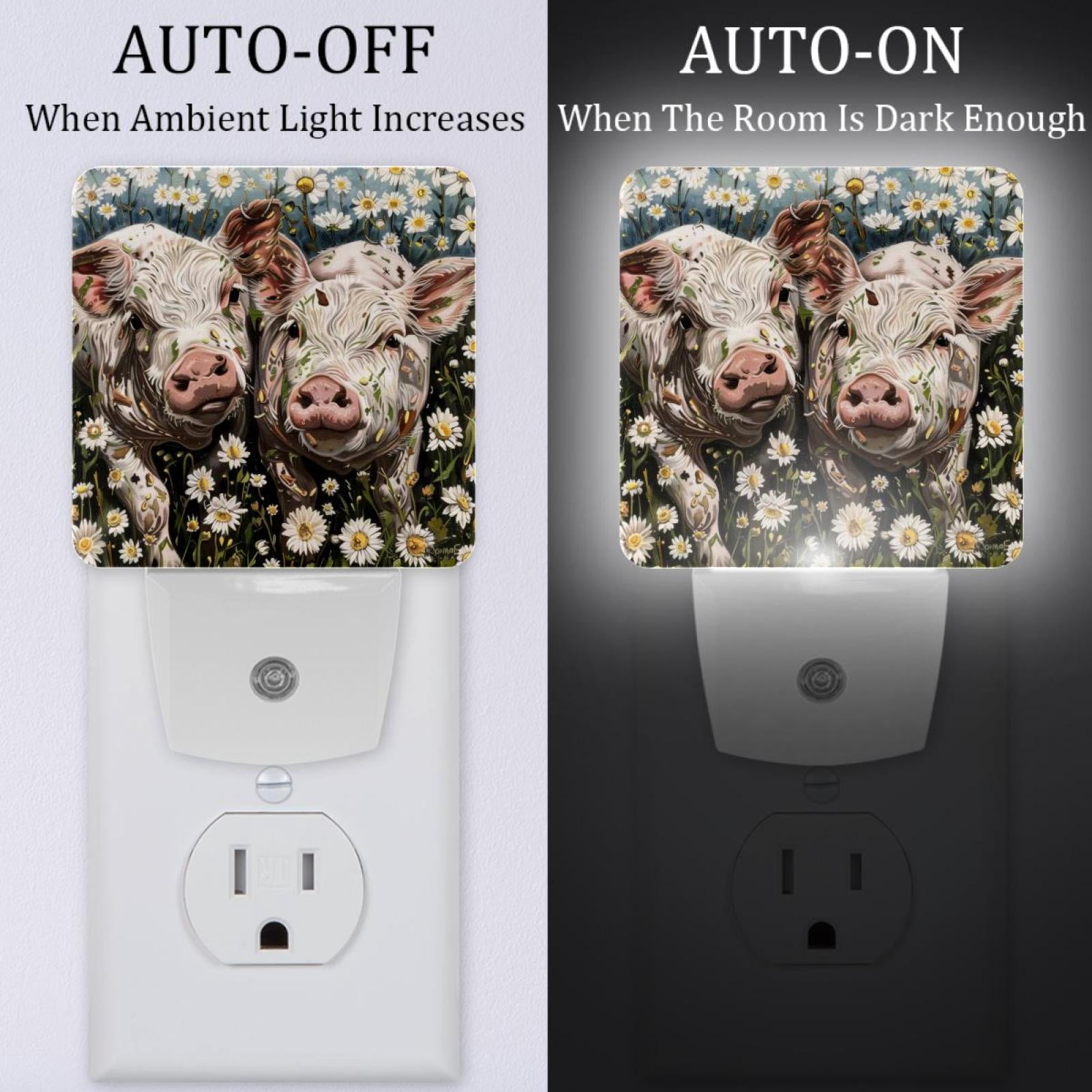 PhooArto Farm Pigs Daisy Flowers Plug in LED Night Light Auto Sensor Dusk to Dawn Decorative Night for Bedroom, Bathroom, Kitchen, Hallway, Stairs, Baby's Room, Energy Saving