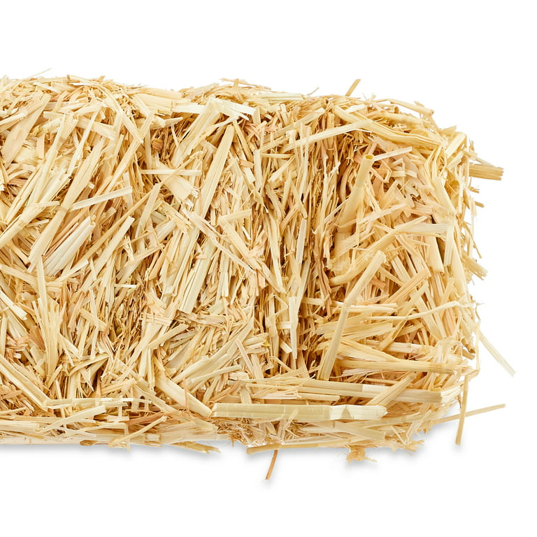 Straw Weavers Mini Straw Bale Bundle of 3 Natural Hay for Autumn Fall Harvest, Craft Decoration and Display 2.5 in. x 3.5 in x 2.5 in