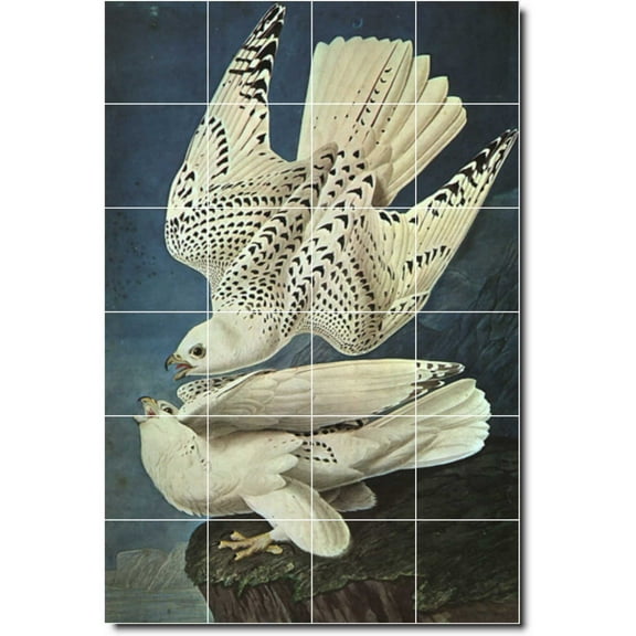 Ceramic Tile Mural-John Audubon Birds Painting 43. 17" w x 25.5" h using (24) 4.25 x 4.25 ceramic tiles