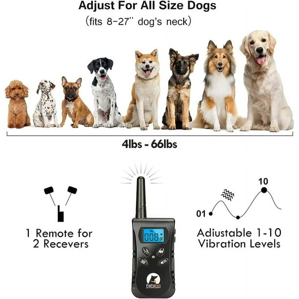 Dog shock collar walmart canada top