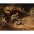 thumbnail image 2 of Ferdinand von Wright 18x15 Black Ornate Wood Framed Double Matted Museum Art Print Titled - Hazel Grouse Wallowing in Sand (1877), 2 of 5