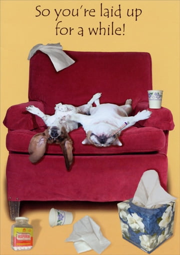 Oatmeal Studios So You're Laid Up Funny / Humorous Get Well Card