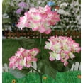 thumbnail image 2 of Nsxcdh Solar Lantern LED Decorative Outdoor Lamp Flower Lantern Solar Light, 2 of 3