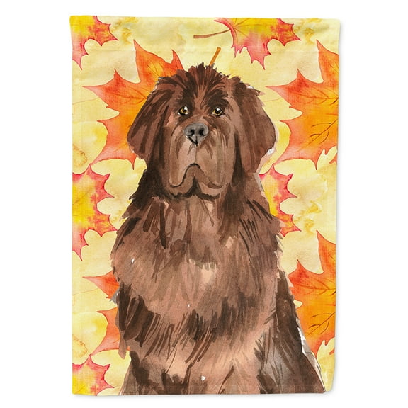 Carolines Treasures CK1832CHF Fall Leaves Newfoundland Flag Canvas House Size  Large multicolor