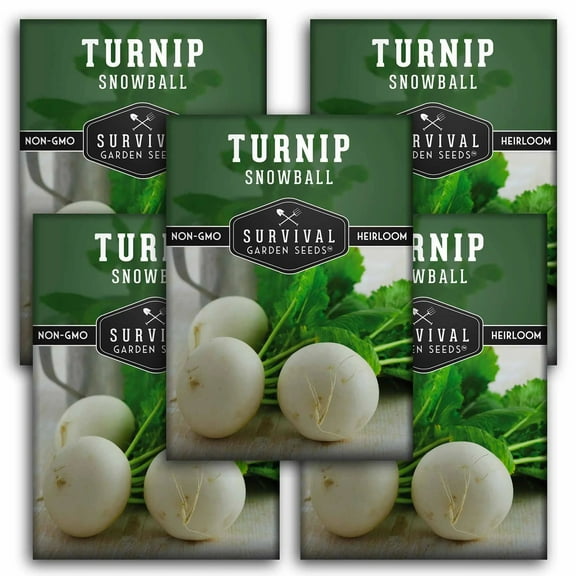 5 Packs Snowball Turnip Seeds - Non-GMO Heirloom Full Sun Biennial Vegetable