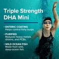 thumbnail image 6 of GNC Triple Strength DHA Ultra Concentrated 1000 Mini Omega 3 Supplement, High Potency, Supports Brain Development & Healthy Vision, Burpless, 90 Mini Softgels, 6 of 7