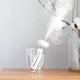 thumbnail image 2 of Humidificador de aire portátil USB Botella Difusor de aroma Mini humidificador con luz Hugtrwg  Para estrenar, 2 of 6