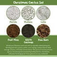 thumbnail image 5 of Christmas Cactus Potting Soil Mix (4 Quarts), Custom Blend for Xmas, Easter, and Thanksgiving Cactus Tropical Indoor Houseplants, 5 of 10