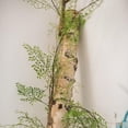 thumbnail image 6 of Artificial Vines Maidenhair Fern Vines 55" Long, 6 of 7