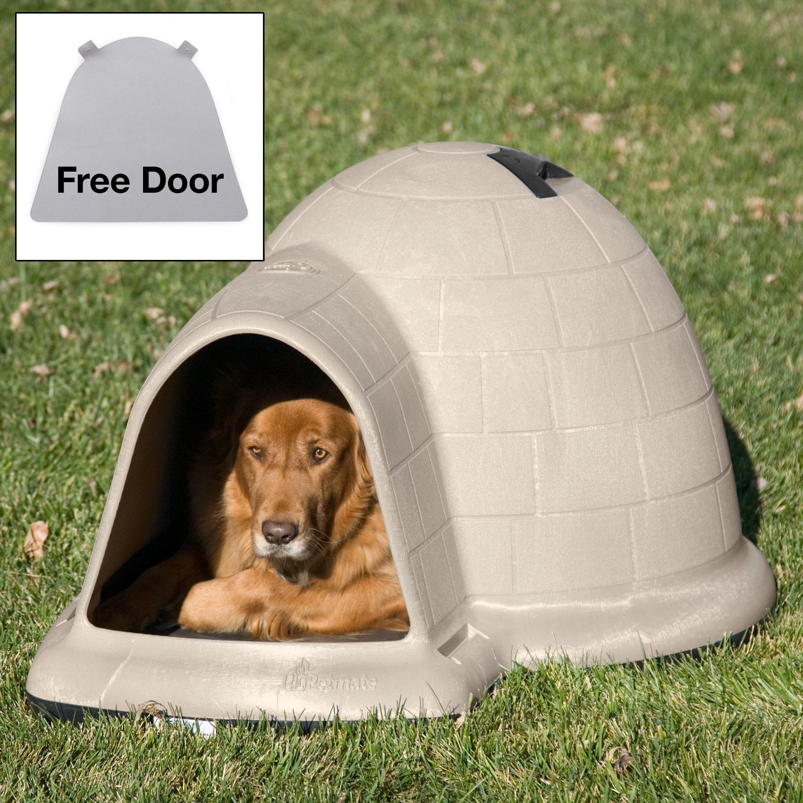 The Death Of Large Igloo Dog