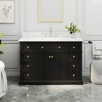 48" Fully Assembled Single Bathroom Vanity with Engineered Stone Top, Ceramic Sink, Hand Paint