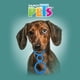 thumbnail image 2 of Juguete para Perro FANCY PETS ARGOLLA FANCY PETS FL8501_ROS, 2 of 2