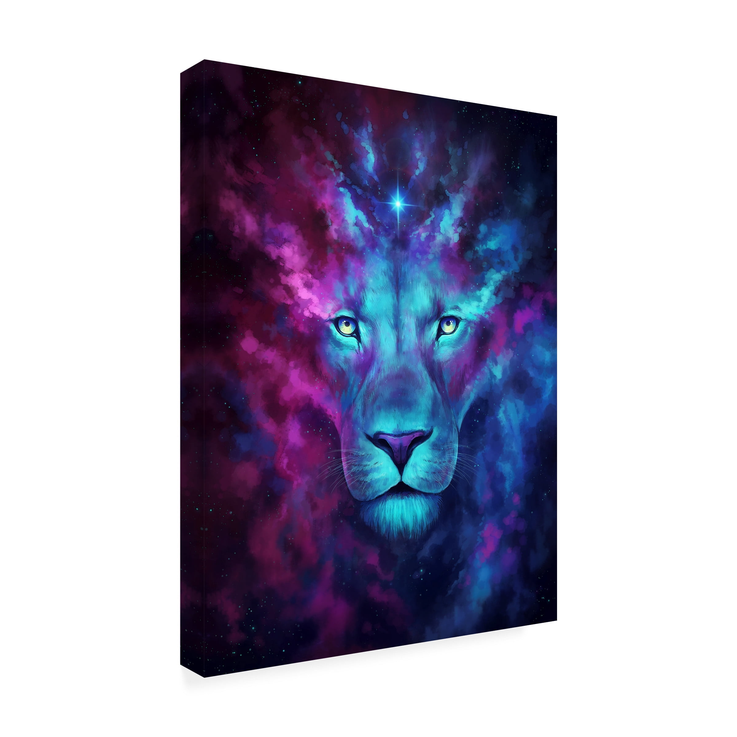 Trademark Fine Art 'Firstborn' Canvas Art by JoJoesArt