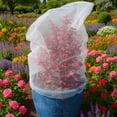 thumbnail image 6 of Fruit Tree Protection Bags 2.5x3.5 FT in 4 Pack | Multiple Size Garden Netting for Fruit & Vegetable Protection | White Plant Net Cover for Blueberry & Tomato | Bird & Insect Mesh Fabric Protector, 6 of 6