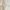 Ivory, variant on Lush Decor Nerina Ruffle Single Window Panel, 84 inches in L