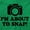Irish Green, variant on Im About Snap Funny Photography Pun Unisex Plus Fleece Graphic Hoodie Brisco Brands 2X