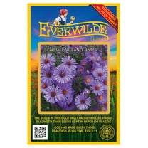 Everwilde Farms - 1000 New England Aster Native Wildflower Seeds - Gold Vault Seed Packet