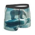 thumbnail image 3 of Daiia Polar Bear On Iceberg Men's Underwear Boxer Briefs, Cotton Stretch Moisture-Wicking Underwear-XX-Large, 3 of 9