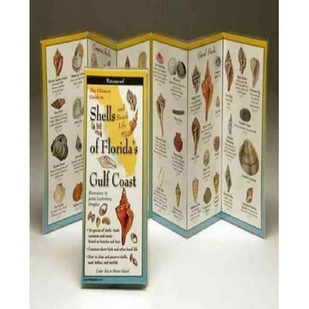Shell Guide - Shells of Florida’s Gulf Coast: Folding Guide (Foldingguides)