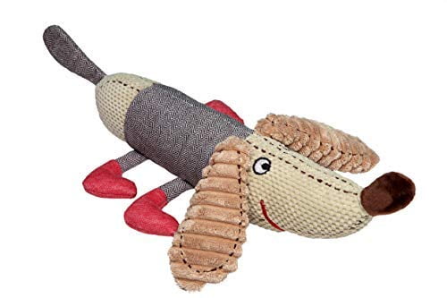 grey toy poodle for sale